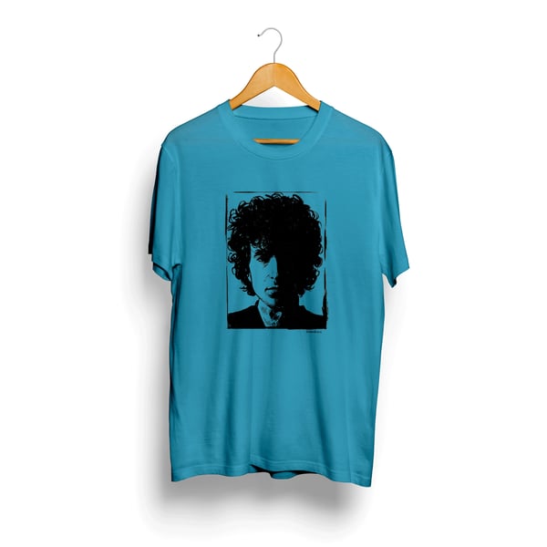 Image of Rock in a free wall - Bob Dylan