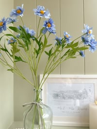 Image 1 of Pale Blue Scabiosa Stems ( 6 included )