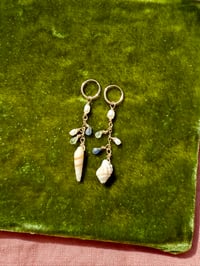 Image 1 of Earthy sapphire shell earrings 