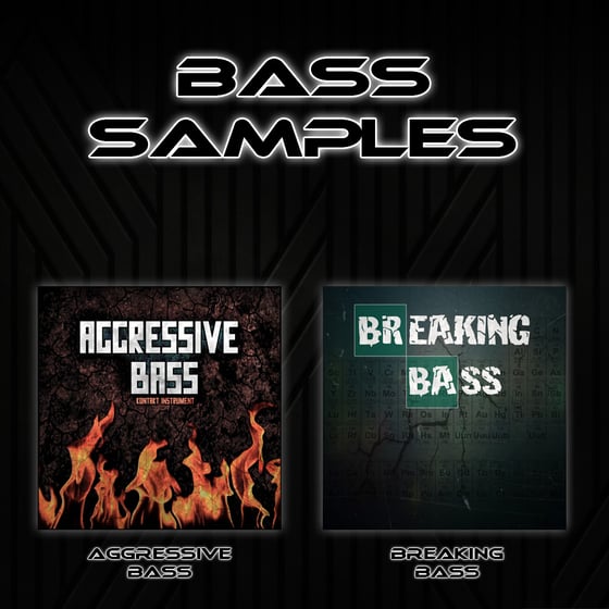 Image of Bass Samples
