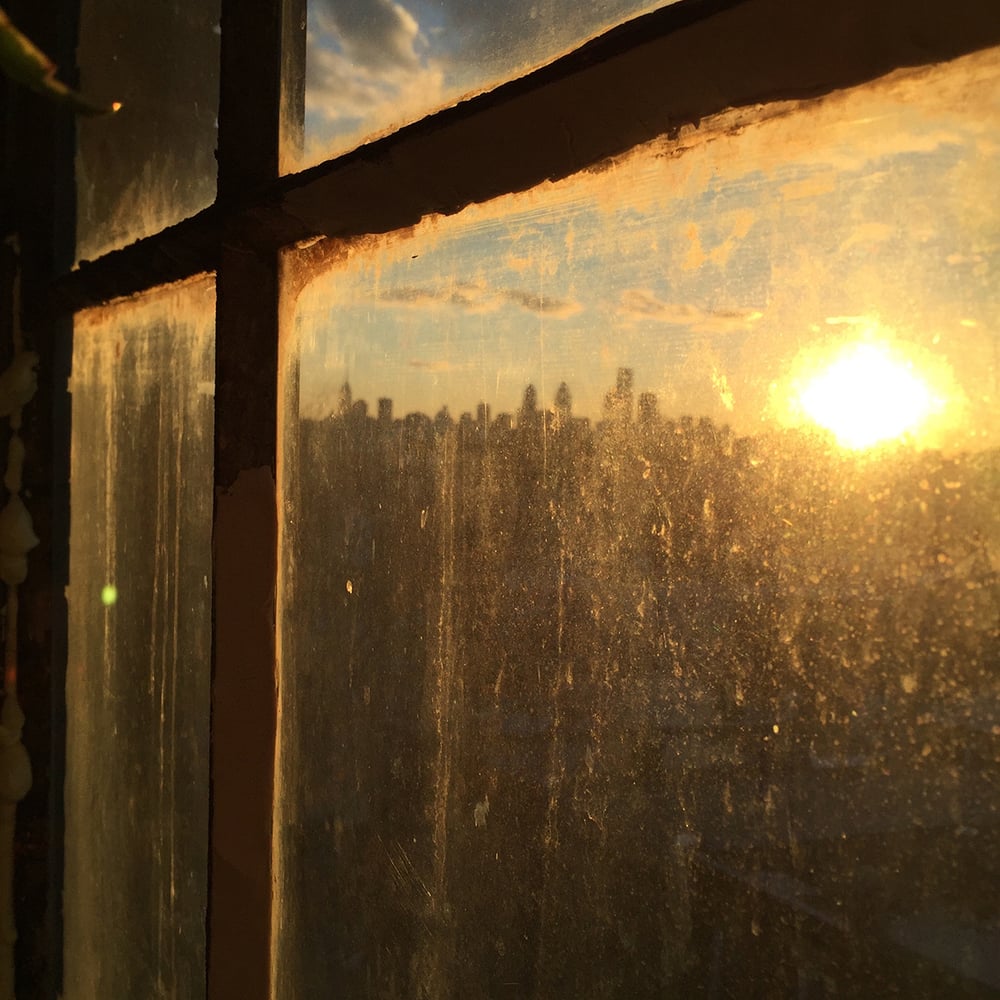 Image of Window by Jessica Kourkounis