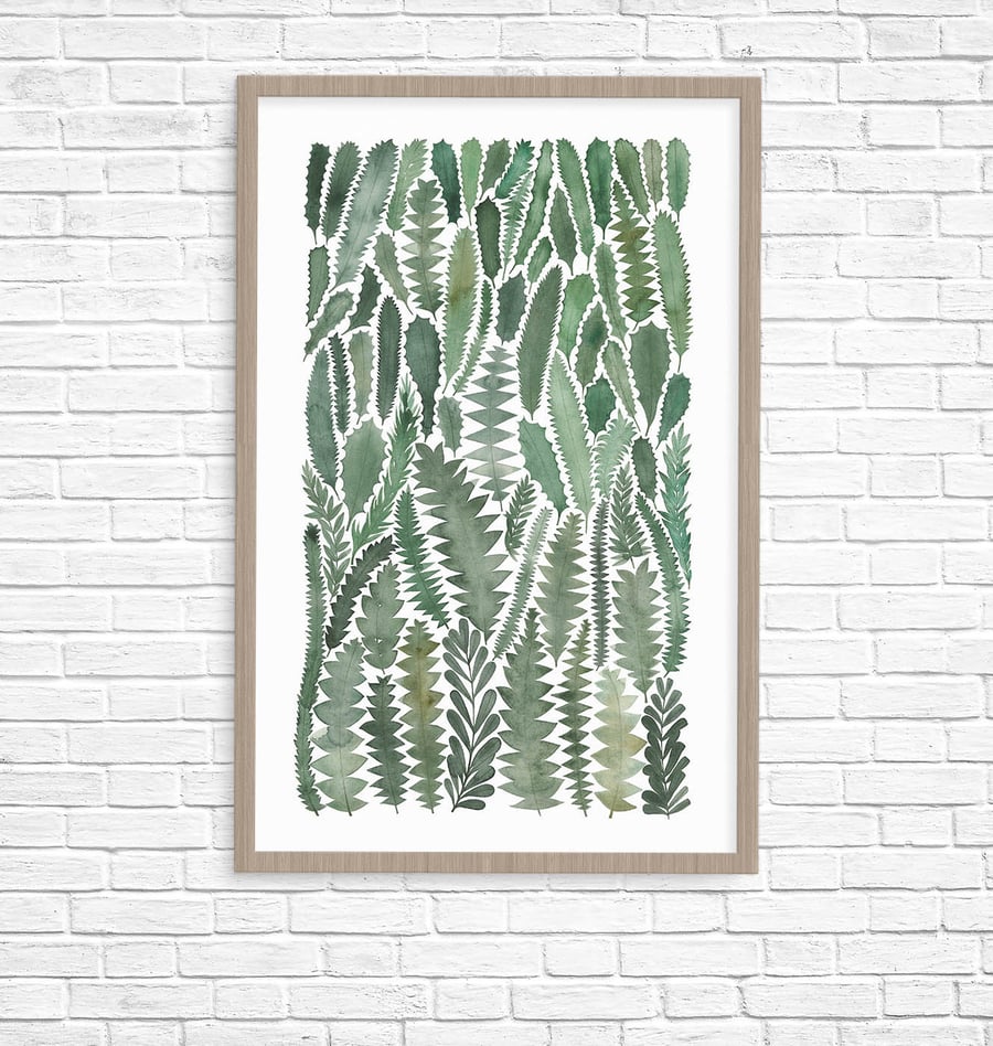 Image of Banksia Leaves Giclee Fine Art Print