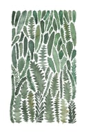 Banksia Leaves Giclee Fine Art Print