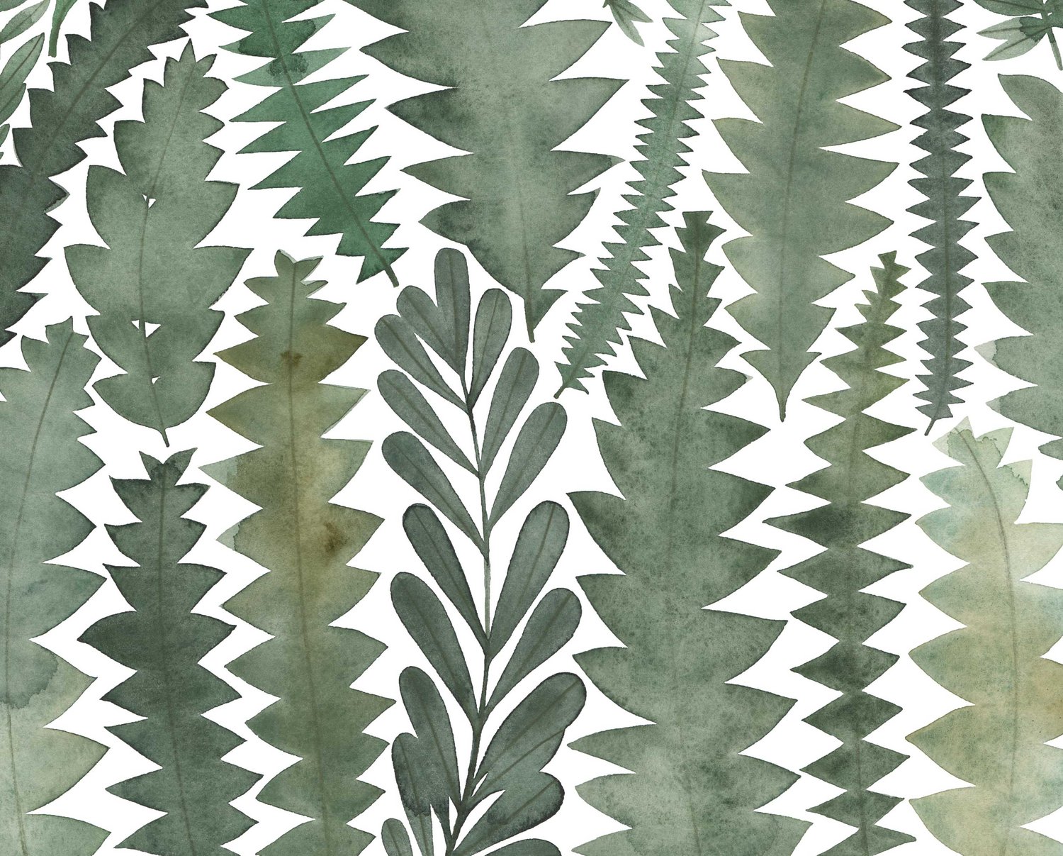 Image of Banksia Leaves Giclee Fine Art Print