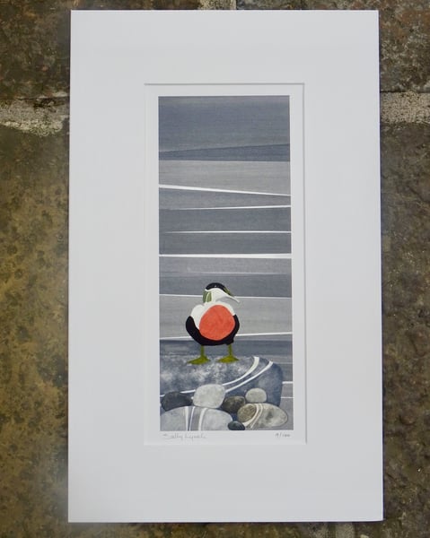 Image of Eider Duck Limited Edition Print