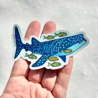 Image 3 of Whale Shark Holo 3” Sticker