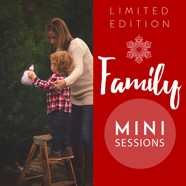 Image of Limited Edition Family Mini Sessions (on-location)
