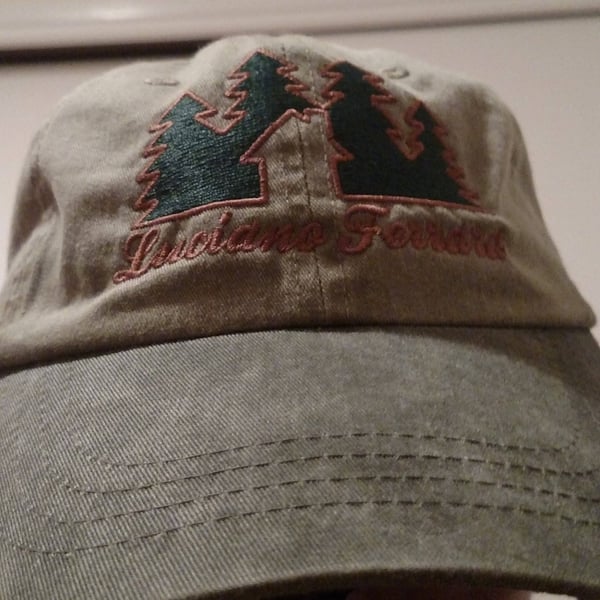 Image of Logo Dad Hats