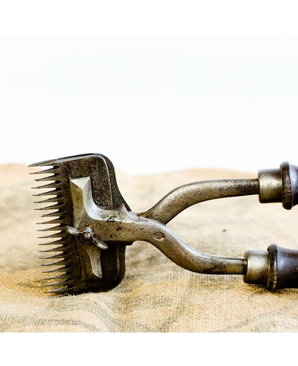 Clippers - Jens Storch :: Office LONDON :: Studio FRANCE