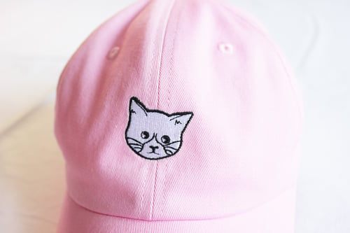 Image of FLUX CAT DAD HAT - Pink 