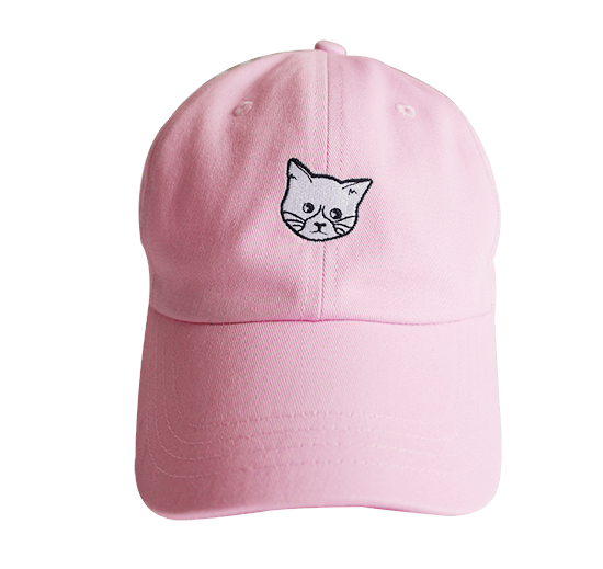 Image of FLUX CAT DAD HAT - Pink 