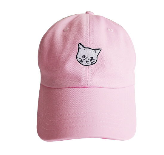 Flux Clothing — FLUX CAT DAD HAT - Pink