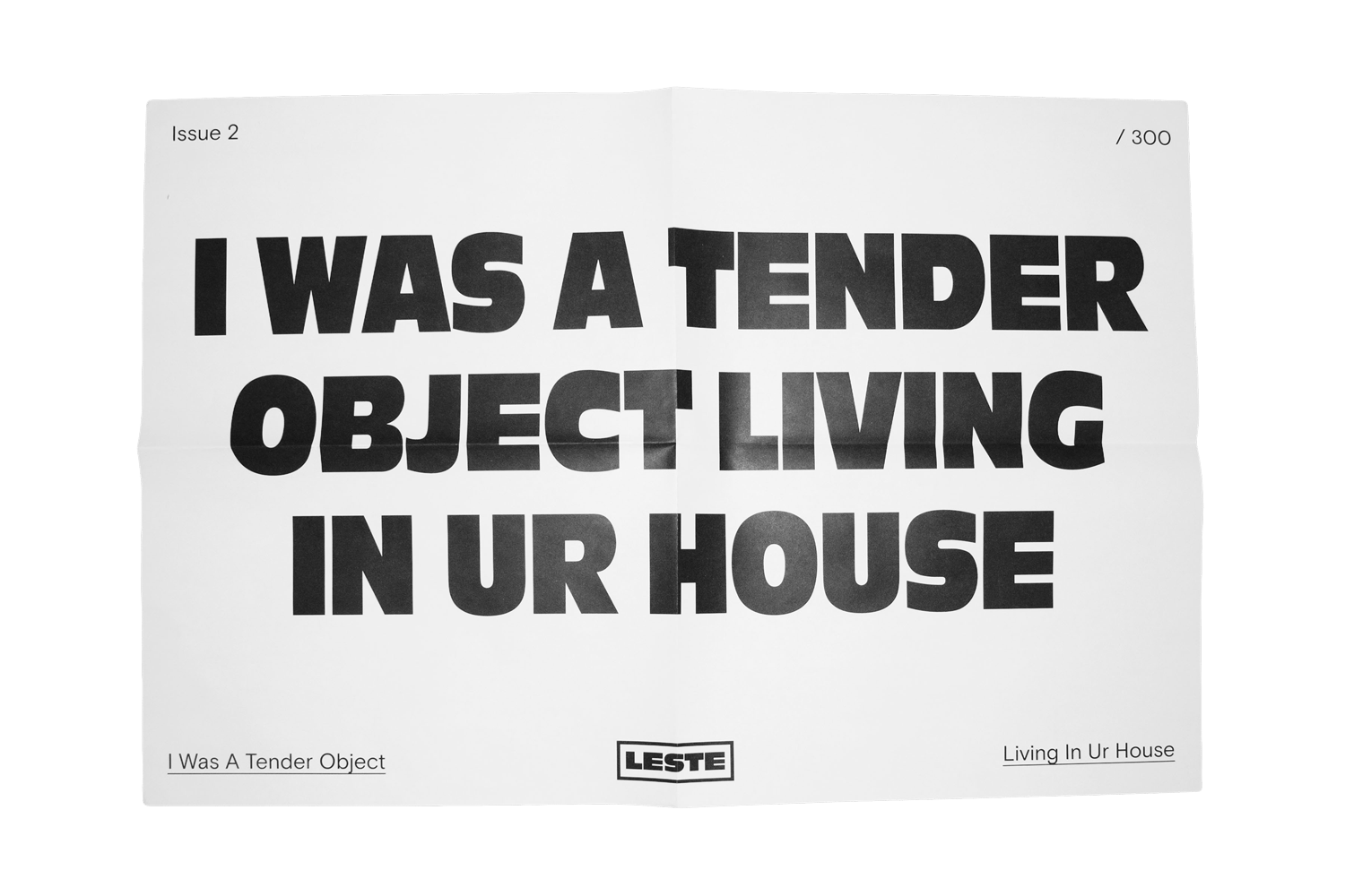 PRE SALE - TENDER OBJECT POSTER - 15x22 *SHIPS | Magazine