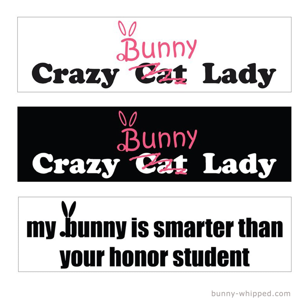 Image of Bumper Sticker - 3 Designs to choose from