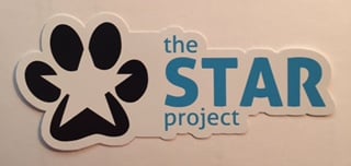 Image of The STAR Project Car Decal