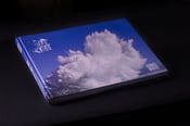 Image of Dark Light Book