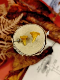 Image 3 of Kolczyki Kurki na wkrętki 