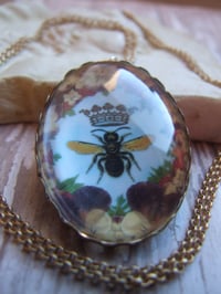 Image 2 of Honeybee Queen