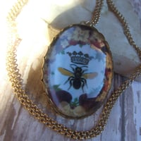 Image 4 of Honeybee Queen