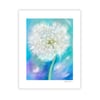 Dandelion, Archival Paper Print