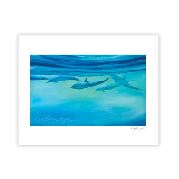 Image of Dolphins, Archival Paper Print