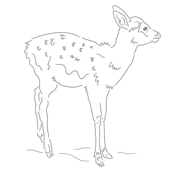 Image of Fawn screen print