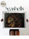 Seashells