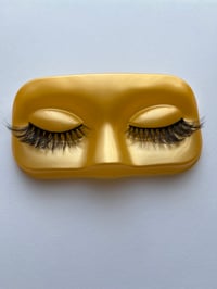 Image 1 of VIRGO