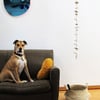 Moon Chimes Full Set Gloss White