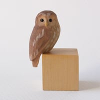 Image 2 of Owl with hindsight