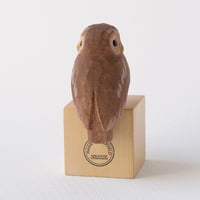 Image 3 of Owl with hindsight