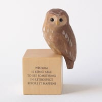 Image 1 of Owl with hindsight