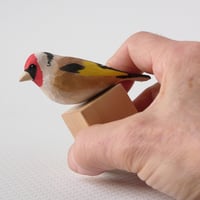 Image 4 of Goldfinch