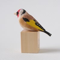Image 3 of Goldfinch