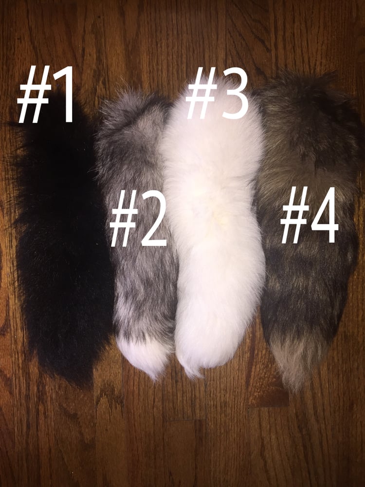 Image of Authentic Fox Tails