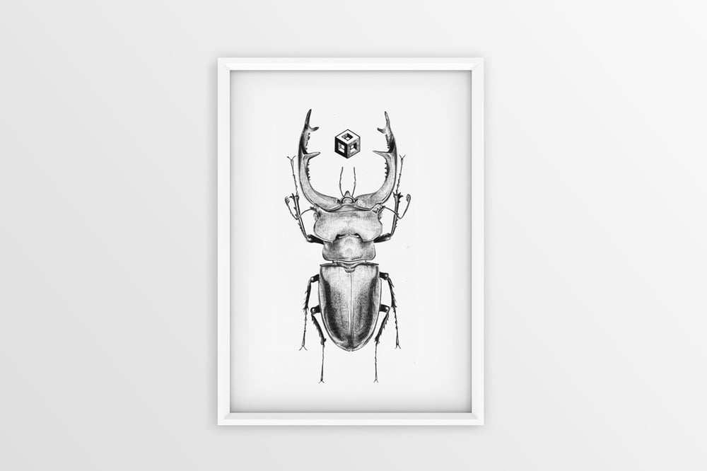 Image of 'Stag beetle' - Print