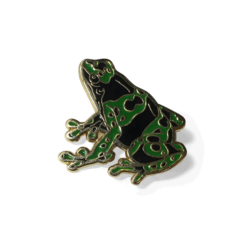 Image of Dart Frog (Color-Changing) pin