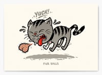 Image 1 of Fur Balls