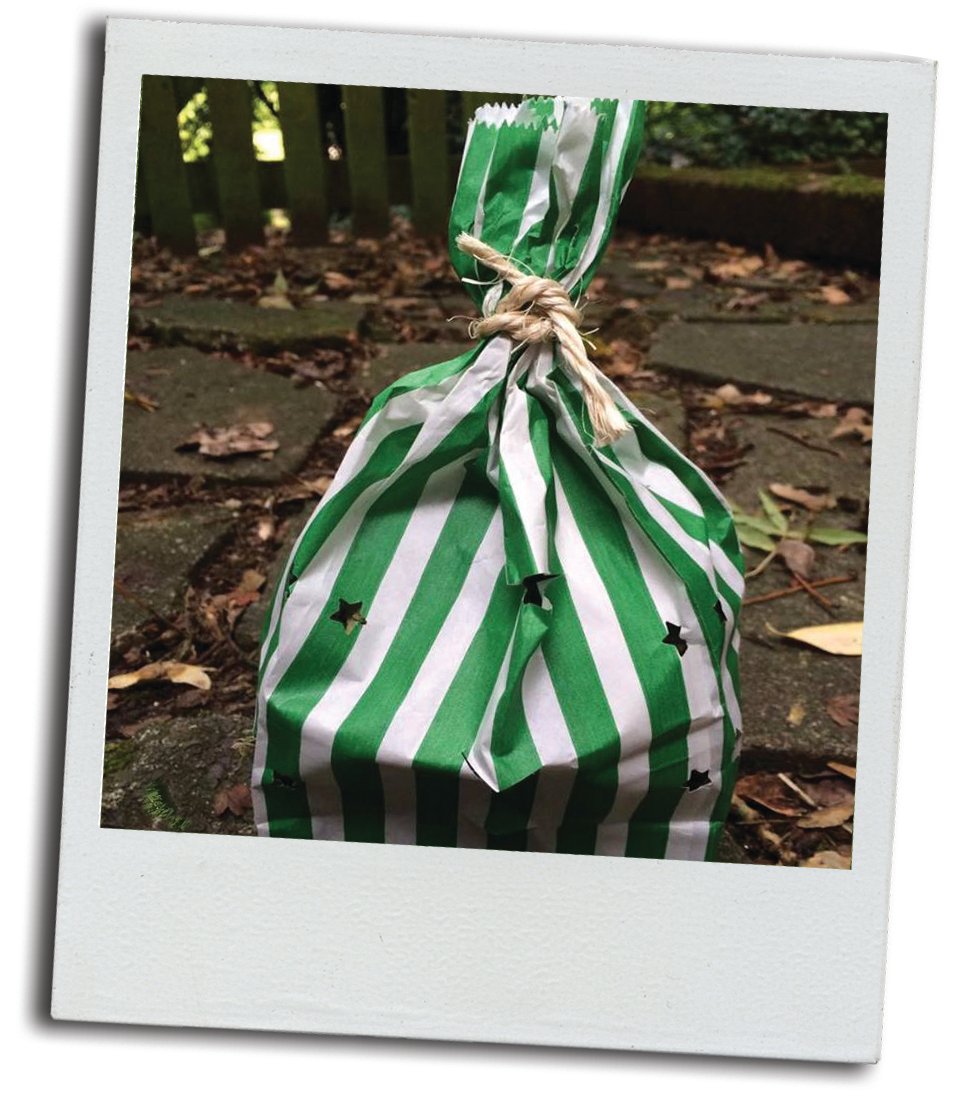 Image of Dollys Shake and reward bag