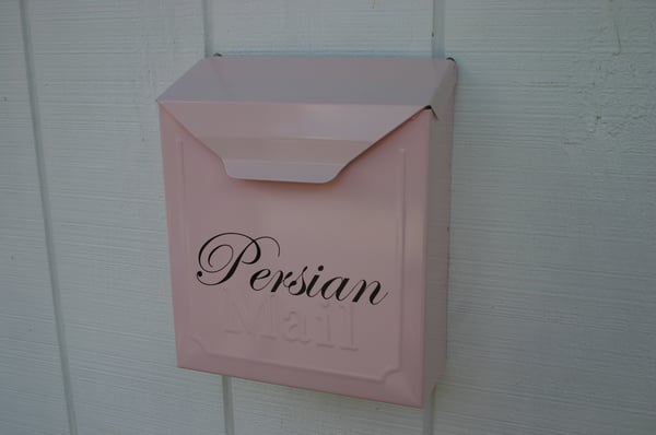 Image of Rosewood Pink Painted Mailbox by TheBusBox - Choose your color Locking or Non Locking Wall Mounted