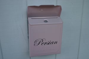 Image of Rosewood Pink Painted Mailbox by TheBusBox - Choose your color Locking or Non Locking Wall Mounted