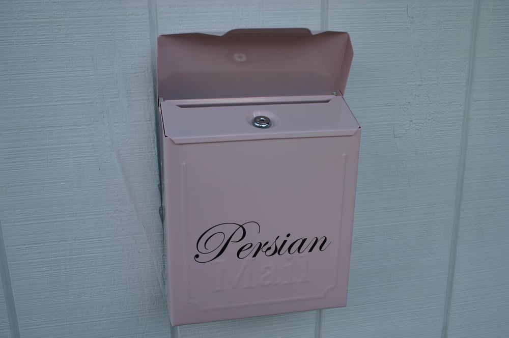 Rosewood Pink Painted Mailbox by TheBusBox Choose your color Locking