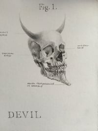 Image 2 of Anatomy of a Devil