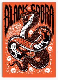 Image 1 of Black Cobra 2012