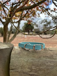 Dusty Turquoise - Small/Puppy