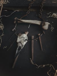 Image 4 of ¥BoneWitch¥