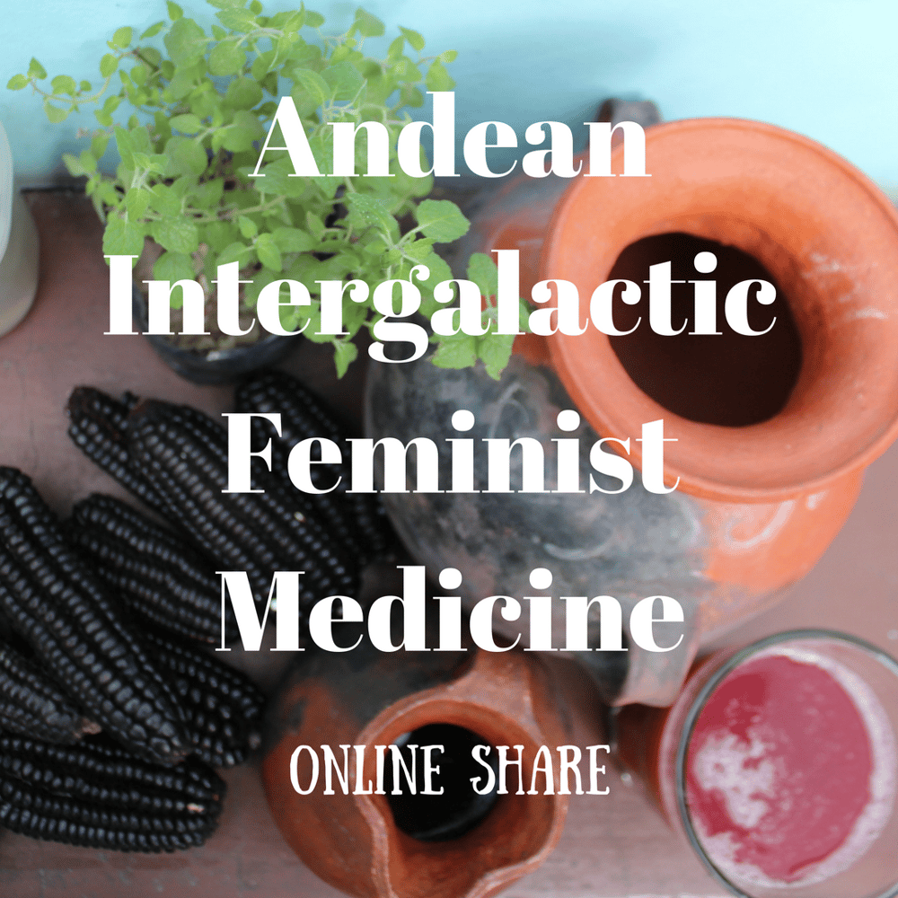 Image of Online v-blog: Andean Intergalactic Feminist Medicine