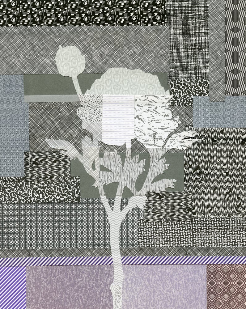 Image of Silk Lobby Ranunculus #03