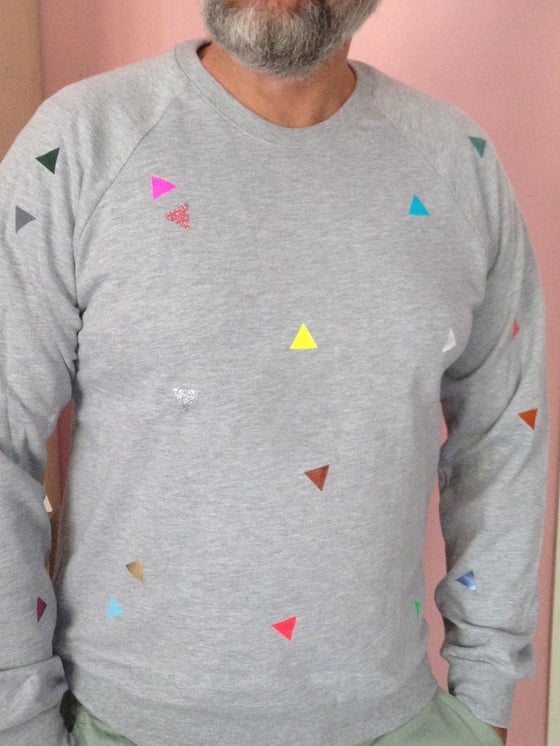 Image of Sweater Triangle grey ADULTS unisex