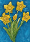 Image of Daffodil Blues